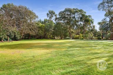 Farm Sold - VIC - Somerville - 3912 - Transform to create your Lifestyle Dream  (Image 2)