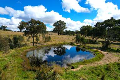 Farm Sold - NSW - Goulburn - 2580 - Unique Rural Property, close to town  (Image 2)