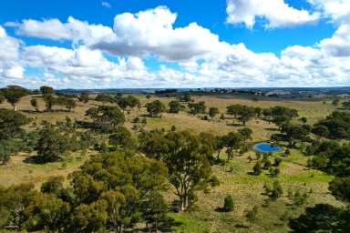 Farm Sold - NSW - Goulburn - 2580 - Unique Rural Property, close to town  (Image 2)