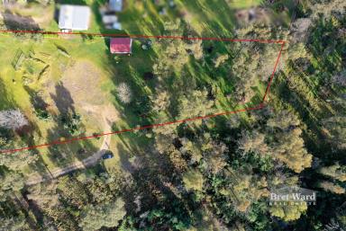 Farm For Sale - VIC - Sarsfield - 3875 - 5519sqm of land zoned low density residential.  (Image 2)