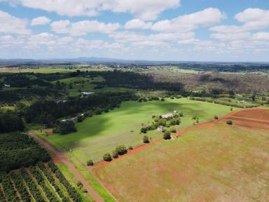 Farm For Sale - QLD - Childers - 4660 - AIR BNB POTENTIAL / LARGE BEAUTIFUL FAMILY HOME WITH A HANGER  (Image 2)