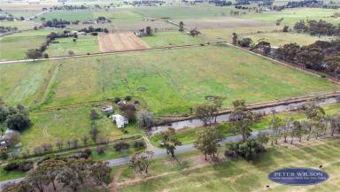 Farm Sold - VIC - Girgarre - 3624 - 18 ACRES (7.3 Ha) Approx. STEEL CATTLE YARDS, STEEL FRAME SHED (conc floor, pit, power), .43 D/S, LASERED, INTERNAL FENCE STAY ASSEMBLYS  (Image 2)