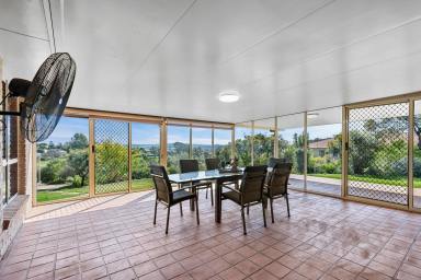 Farm Sold - QLD - Cotswold Hills - 4350 - Enjoy the views, space and tranquillity  (Image 2)