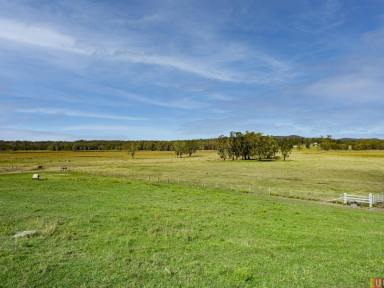 Farm Sold - NSW - East Kempsey - 2440 - Blue Ribbon Location - Room for the horse - 4.4 acres in Town!  (Image 2)