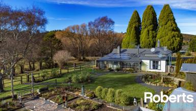 Farm Sold - TAS - Myrtle Bank - 7259 - A Tranquil Oasis Awaits  (Image 2)