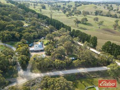 Farm Sold - SA - Pewsey Vale - 5351 - UNDER CONTRACT BY JEFF LIND  (Image 2)