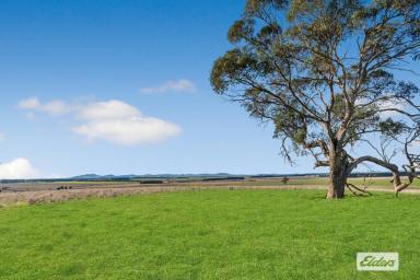 Farm Sold - VIC - Carngham - 3351 - A versatile cropping and grazing opportunity in the tightly held Ballarat region  (Image 2)