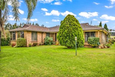 Farm Sold - NSW - Singleton - 2330 - "Kindyerra" Family home on 26 acres in sought after location!  (Image 2)