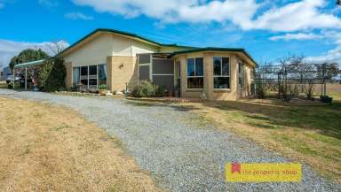 Farm Sold - NSW - Mudgee - 2850 - "DELLKEN"  (Image 2)