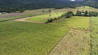 Farm Sold - QLD - Djarawong - 4854 - PERFECT LIFESTYLE ACREAGE CLOSE TO TOWN! - ONLY $400k  (Image 2)