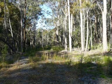Farm Sold - NSW - Minimbah - 2312 - Look Out, Look About  (Image 2)