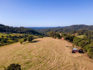 Farm Sold - QLD - Clear Mountain - 4500 - Brisbane's Best Block of Land  (Image 2)