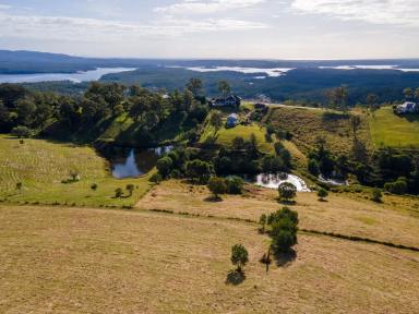 Farm Sold - QLD - Clear Mountain - 4500 - Brisbane's Best Block of Land  (Image 2)