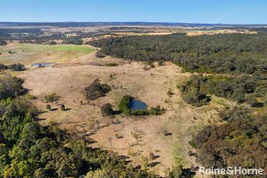 Farm For Sale - NSW - Big Hill - 2579 - Eye catching!  (Image 2)