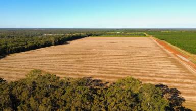 Farm For Sale - QLD - Redridge - 4660 - HORTICULTURE FARM - 145 ACRES  (Image 2)