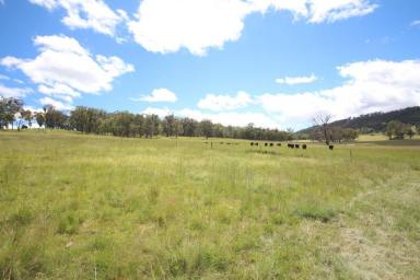 Farm Sold - NSW - Tenterfield - 2372 - Affordable Acreage  (Image 2)