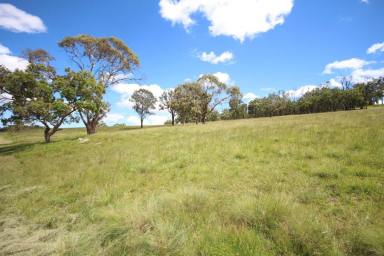 Farm Sold - NSW - Tenterfield - 2372 - Affordable Acreage  (Image 2)