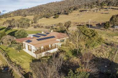 Farm Sold - VIC - Pine Mountain - 3709 - PINE MOUNTAIN LIFESTYLE CALLING  (Image 2)