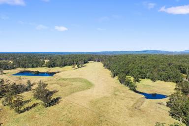 Farm Sold - NSW - Bodalla - 2545 - The Airstrip - Excellent Location – Princes Highway Frontage  (Image 2)