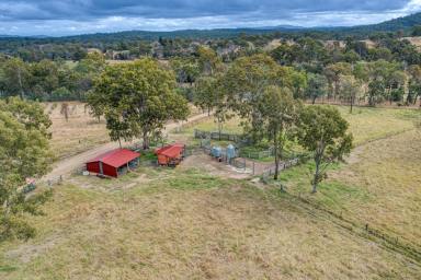Farm For Sale - QLD - Moolboolaman - 4671 - RURAL LIFESTYLE AT A HIGHER LEVEL ON 10.29ha (25 ACRES)  (Image 2)