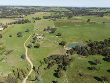 Farm Sold - NSW - Young - 2594 - GREENBRAES Some of the Best Country within The Southwest Slopes  (Image 2)