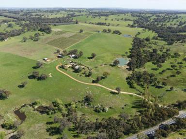 Farm Sold - NSW - Young - 2594 - GREENBRAES Some of the Best Country within The Southwest Slopes  (Image 2)