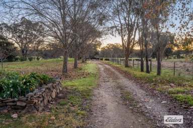 Farm Sold - NSW - Tarcutta - 2652 - Highly sought Eastern Riverina Farming  (Image 2)