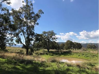 Farm Sold - NSW - Cassilis - 2329 - Secluded Getaway!  (Image 2)