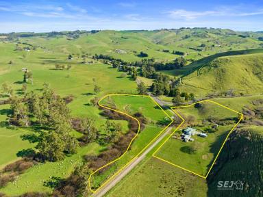 Farm Sold - VIC - Mount Eccles - 3953 - NESTLED IN THE VALLEY  (Image 2)