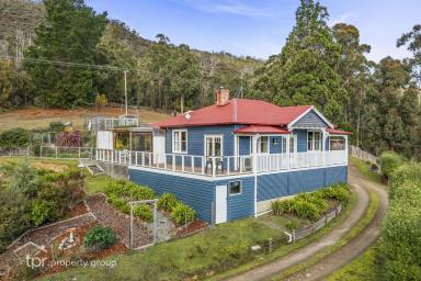 Farm Sold - TAS - Huonville - 7109 - The Best of Both Worlds!  (Image 2)