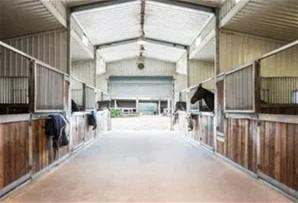 Farm For Sale - WA - Bunbury - 6230 - WANTED - EQUESTRIAN PROPERTY IN THE SOUTH WEST - CONTACT ALAN FAIRHEAD 0429 936 492  (Image 2)