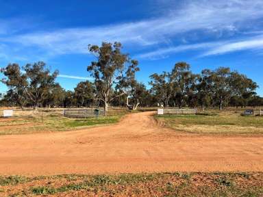 Farm Sold - NSW - Quambone - 2831 - Paddock To Plate at "Haddington", Quambone  (Image 2)