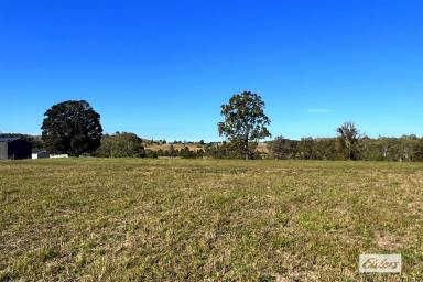 Farm Sold - QLD - Pie Creek - 4570 - Near Level Land with VIEWS!  (Image 2)