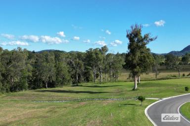 Farm For Sale - QLD - Pie Creek - 4570 - UNDER CONTRACT!  High Quality Acreage!  (Image 2)