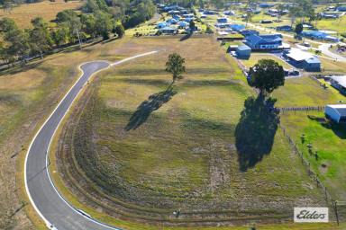 Farm For Sale - QLD - Pie Creek - 4570 - When Only The Best Will Do!  (Image 2)