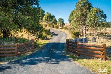 Farm Sold - NSW - Bega - 2550 - SUSTAINABLE LIFESTYLE  (Image 2)