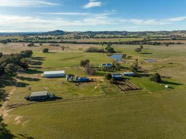 Farm Sold - NSW - Big Springs - 2650 - Turnkey property of Big Springs!  (Image 2)