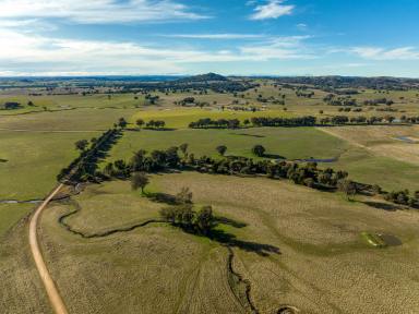 Farm Sold - NSW - Big Springs - 2650 - Turnkey property of Big Springs!  (Image 2)