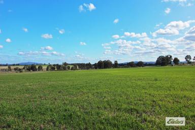 Farm Sold - VIC - Arnold - 3551 - BEAUTIFUL 50 ACRE BLOCK WITH VIEWS ACROSS TO MT MOLIAGUL & THE SUNDAY MORNING RANGES  (Image 2)
