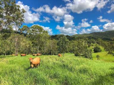 Farm Sold - QLD - Langshaw - 4570 - MOUNTAIN VALE  (Image 2)