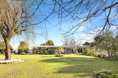 Farm Sold - VIC - Purnim West - 3278 - 'Eden Hill' a compelling country home a mere 10 minutes to edge of town.  (Image 2)