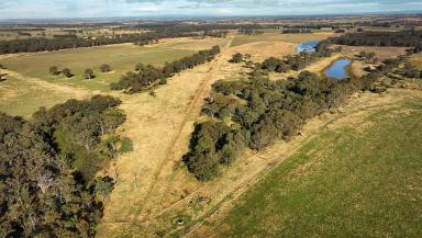 Farm For Sale - VIC - Munro - 3862 - EXTENSIVE LAND HOLDING WITH IRRIGATION  (Image 2)