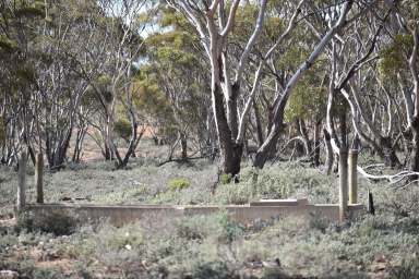 Farm Sold - SA - Brownlow - 5374 - Bush Block with Water  (Image 2)