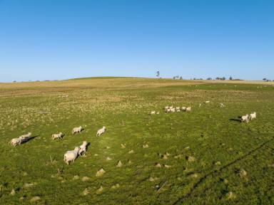 Farm Sold - NSW - Crookwell - 2583 - Great Location!  (Image 2)
