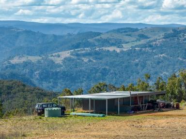 Farm Sold - NSW - Bannaby - 2580 - ON TOP OF THE WORLD, 80 ACRE MOUNTAIN HIGH RETREAT, OFF GRID,  360 DEGREE VIEWS, WHERE THE EAGLES FLY AND THE STARS SHINE BRIGHTER,  (Image 2)
