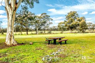 Farm Sold - VIC - Ascot - 3551 - Titled Boutique Lifestyle Allotment – 2.99 Acres  (Image 2)