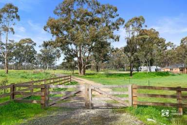 Farm Sold - VIC - Ascot - 3551 - Titled Boutique Lifestyle Allotment – 2.99 Acres  (Image 2)