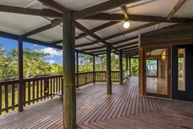 Farm Sold - NSW - Lillian Rock - 2480 - FAMILY HOME WITH NORTH COAST STYLE - SOLD  (Image 2)
