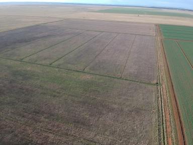 Farm Sold - NSW - Coleambally - 2707 - Quality Aggregation of Irrigation Properties  (Image 2)