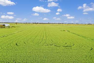 Farm Sold - VIC - Lockington - 3563 - PJ PARK  -  QUALITY HOME, SHEDDING AND DAIRY FARM INFRASTRUCTURE  (Image 2)